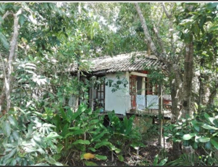 Bahia Das Jangadas. Hotel Serra Grande  Buitenkant foto